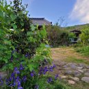 운조루 막둥이집 이미지