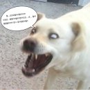 월