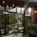 도토리(dotori) 이미지