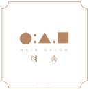 평촌태평양약국 | [일상/리뷰]범계미용실 추천 예솜 : 솜씨에 반하다 (자연곱슬/매직셋팅펌/여름헤어추천/예솜/제인쌤)