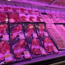 농장사람들 이미지