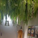 서현AK프라자(서현 보도육교) | 서현역 맛집 술집 틈 서현 후기