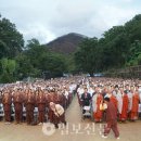 비 오는 고운사에 결집한 포교사 3000명…“팔재계를 몸·마음에 새기겠습니다” 이미지