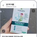 푸른지씨씨㈜ 루리웹게임뉴스