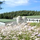 북원피그몰 이미지