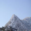 덕산운수 Daum카페