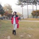 벌키스포츠