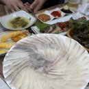 포항 양덕 해맞이횟집 모듬회 중자 후기