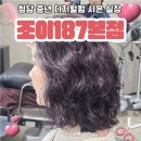 187조이펌 | [압구정로데오] 중년 디지털펌 청담동 사모님머리 "조이187본점" 강남 연예인 미용실