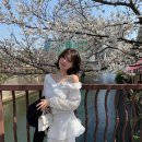 일상 🐰 | 르플레인 selier tie blouse후기 🧚 | 옷 추천템