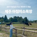 제주 먹이주기 체험 아침미소목장 우유샌드 맛집 내돈내산 후기