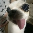 NR-7[동해대로]-상-97 | [국내여행] 2박 3일 겨울 속초 크리스마스 내돈내산 뚜벅이 여행 맛집 추천