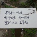 도원리 이미지