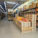 비타민프라자 이미지