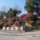 원주굽이길 2코스 700년노송길 이미지