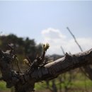 금강농협 이미지