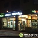 보보스동물병원 네이버블로그