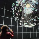 정원비디오 이미지