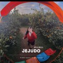 안전한가 | 제주도 왕복 2만원 실화? 티플라이트 성공 후기