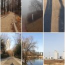 파리바게뜨(상동로데오점)