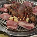 정다운 가 | 도고 파라다이스 맛집 정다운연탄구이 내돈내산 후기