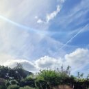 제주마중 협재 이미지