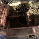 형제보링 이미지