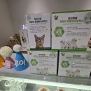 카페도드리 이미지