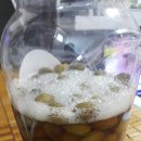 개복숭아 효소담그는법 따로있나요? 이미지