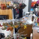 공룡발톱 | [경기도 화성] 동탄에 위치한 공룡을 볼 수 있는 실내키즈카페 "동탄공룡월드" 평일방문후기