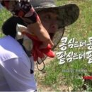 장안의화제 이미지