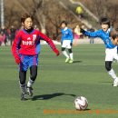 인천부평초 이미지