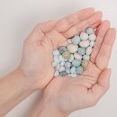 포포즈 반려동물장례식장 부산점 이미지