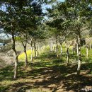 바당올레 이미지