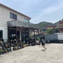 박경리 메밀향 이미지