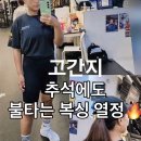 김포시 복싱연맹 | 김포 복싱 추석 연휴에도 쉬지 않는다! 운양동 복싱 성인·키즈 김포GO복싱 운양점 회원 열정🔥