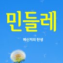민들레컴퍼니