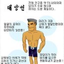 사상체질 태양인의 특징 이미지