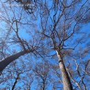 청송「주왕산환종주」33km,, "산아일로(山我一路), 주왕산의 깊은 품에 나를 새기다." 이미지
