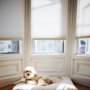 준클리닝 이미지