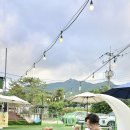 더슈나애견펜션 이미지