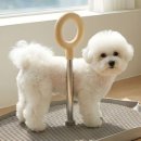 마루인터내셔날 이미지