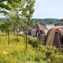 생림오토캠핑장 이미지