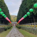 제주담스테이 이미지