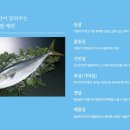 돌맹이수산 네이버블로그
