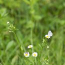 남서대로 이미지