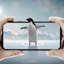 트랜드위드 이미지