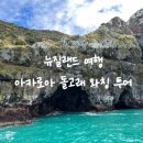 아카로아 | 뉴질랜드 여행 크라이스트처치 아카로아 돌고래 와칭 투어