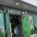 쥬니멀 | 청주 아이와 가볼만한곳 실내 쥬니멀동물원 다녀온 후기