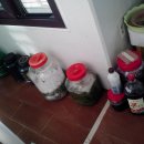 질경이농장 이미지